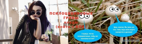 гидра Лабытнанги