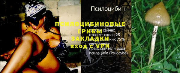 гидра Лабытнанги
