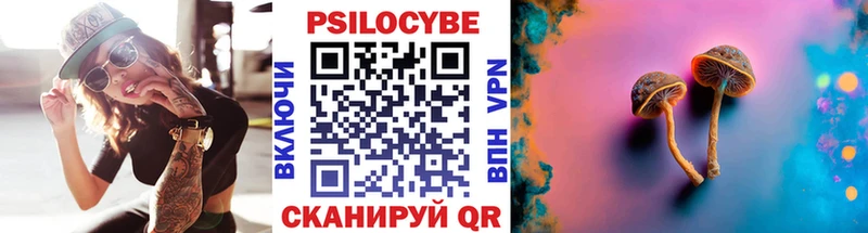 Галлюциногенные грибы Psilocybine cubensis  Купить закладки  Ефремов 