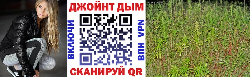 Каннабис ГИДРОПОН Купить где Ефремов